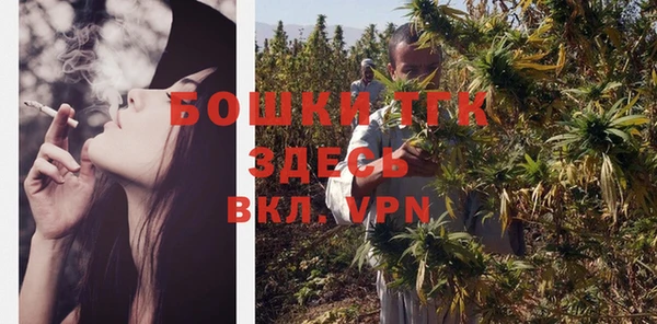 тгк Балахна