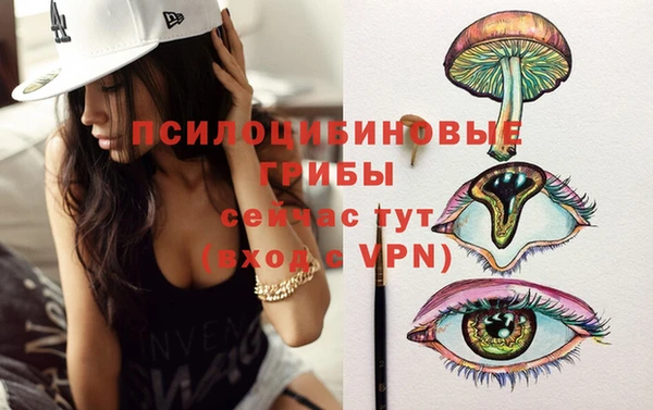 спиды Пестово