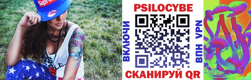 Псилоцибиновые грибы Psilocybe  blacksprut   Терек 