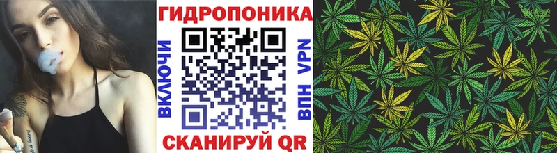 купить  сайты  Терек  Конопля LSD WEED 